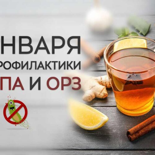 21 января – День профилактики гриппа и ОРЗ