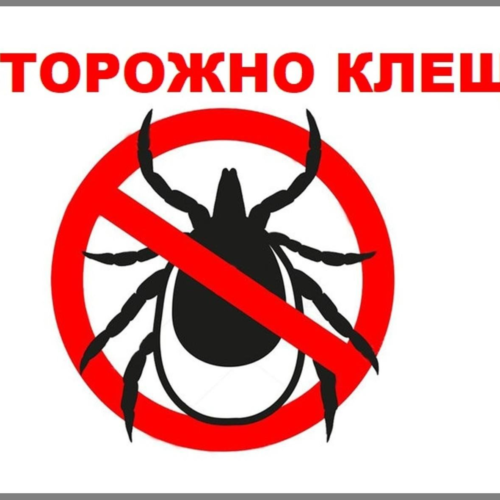 Профилактика клещевого энцефалита и Лайм-боррелиоза