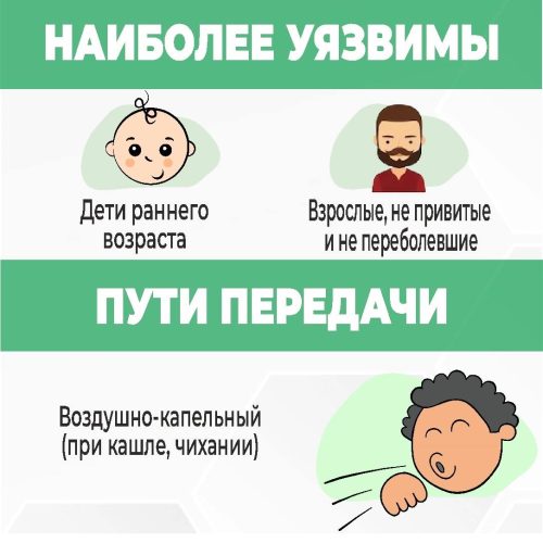Самая негативная сторона зимы- это воздушно-капельные инфекции.
