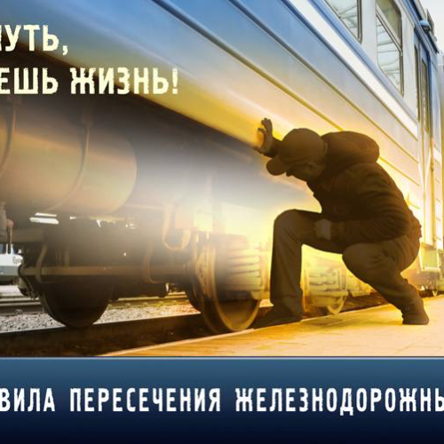 С 01 по 28 февраля на территории Гомельской области проводится комплекс профилактических мероприятий