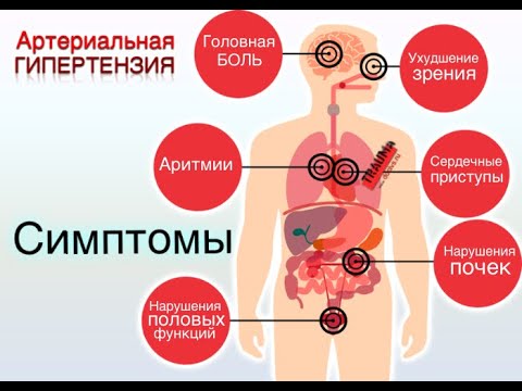 Тихий враг: как держать давление в узде и не дать ему испортить жизнь