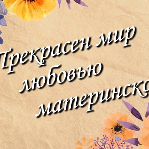 «Прекрасен мир любовью материнской»: обращение участников областного семинара к родителям