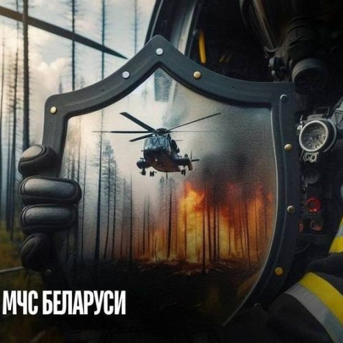На территории города Гомеля проходит специальное профилактическое мероприятие «Зеленый щит»