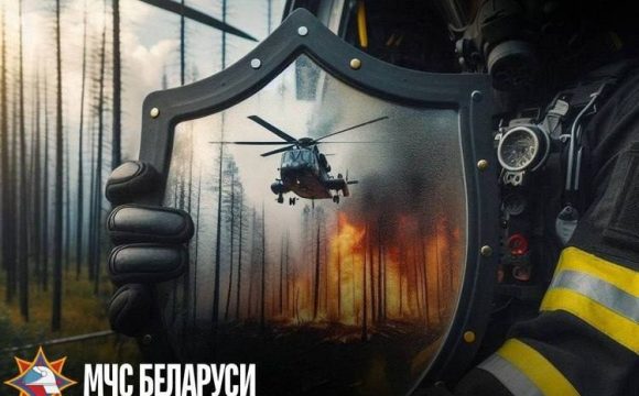 На территории города Гомеля проходит специальное профилактическое мероприятие «Зеленый щит»