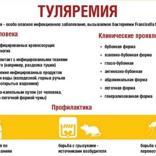 Лето – время отдыха, природы и некоторых опасностей,  в том числе  туляремии.