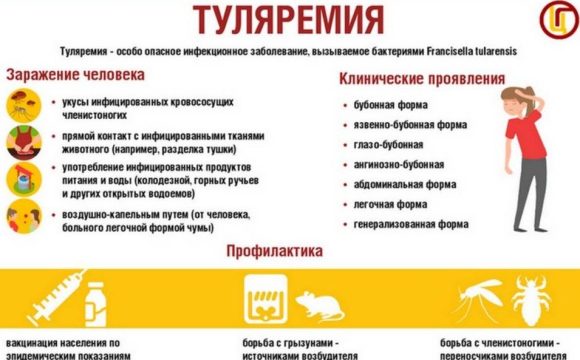 Лето – время отдыха, природы и некоторых опасностей,  в том числе  туляремии.