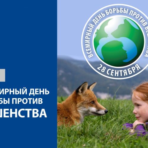 EFiE3P9WwAAu_UN 28 сентября — Всемирный день борьбы против бешенства